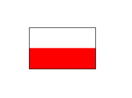 Polski producent